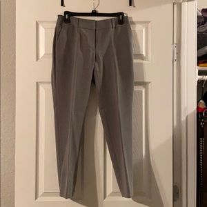 Loft Suit Pant 2P